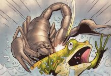 The Frog and the Scorpion