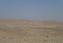 Hitchhiking Across the Plain of Megiddo