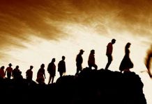 Not as Smart as Lemmings